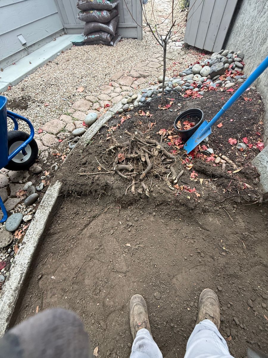 Mulch Installation for CBA Landscaping in Hayward, CA