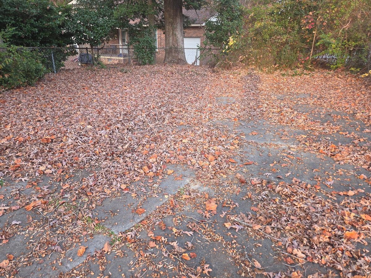 Walkway and driveway cleanup for Just Mow and Go Lawn Service, LLC in New Bern, NC