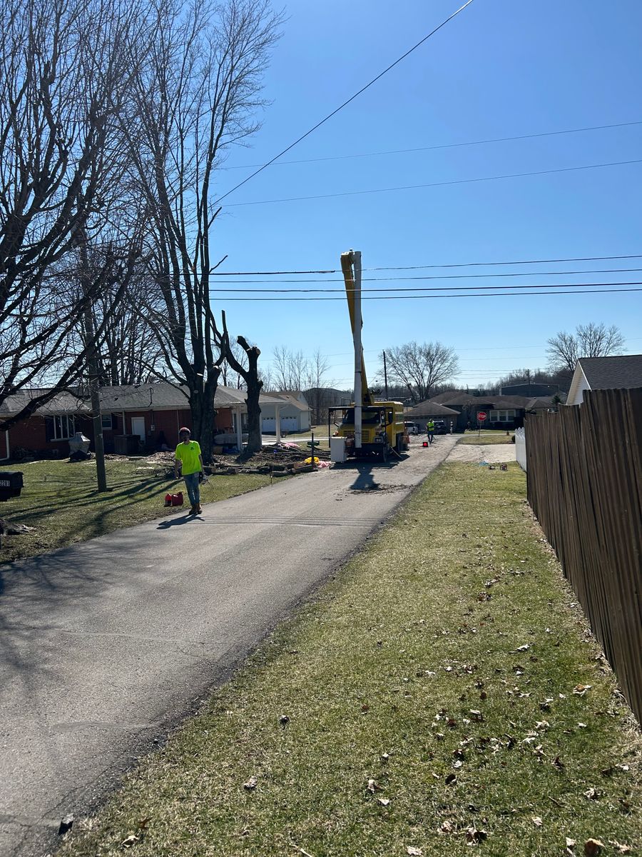 Tree Removal for SMITHs Tree Service in Columbus, IN