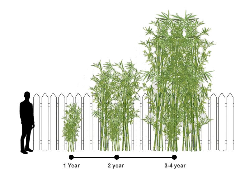 Landscape Installation for Atlas Land Design in Creekside Park, TX