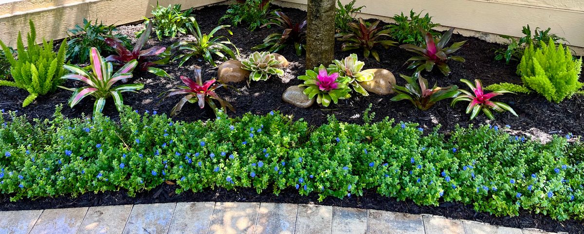 Landscape Design and Installation for Verimay's Garden and Landscaping in Hillsborough County, FL