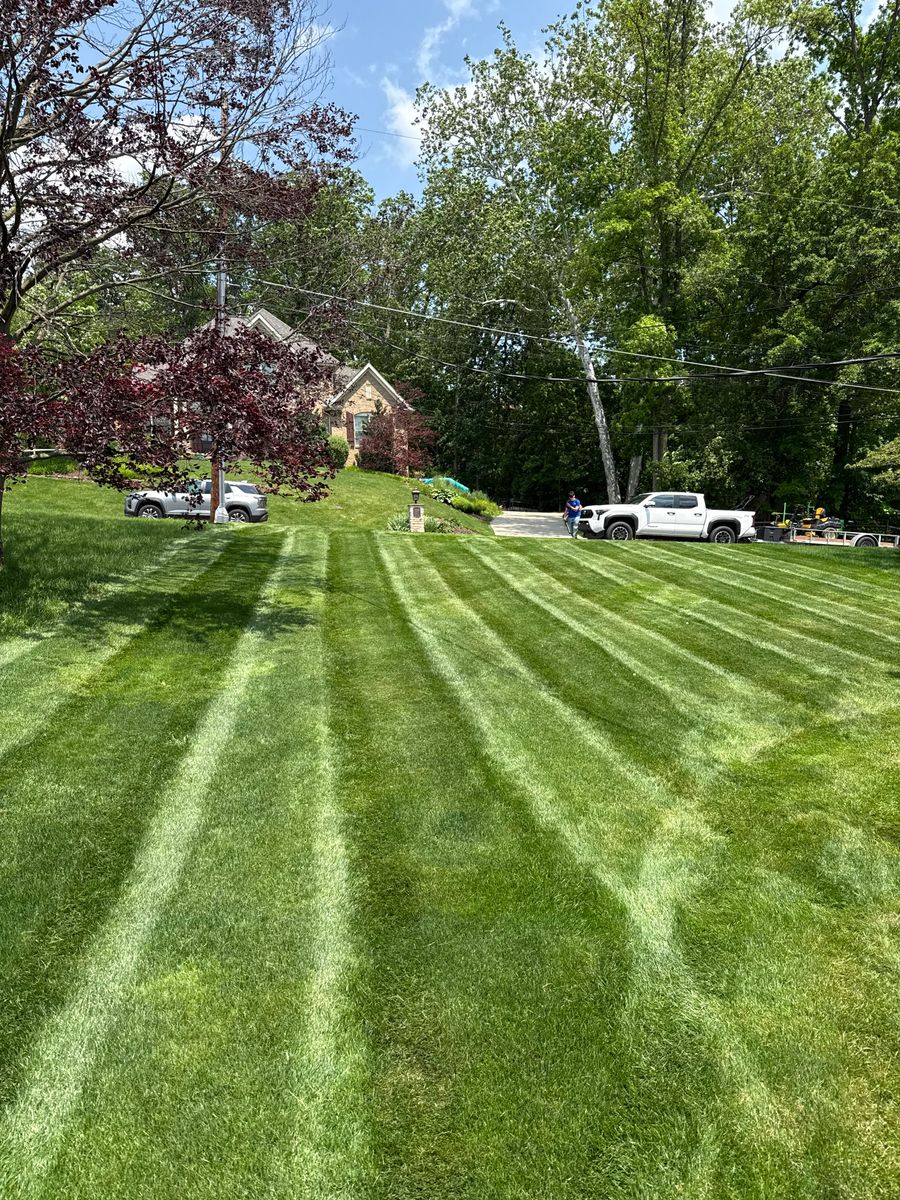 Hillside Maintenance for Green Hills Lawn Service in Washington, PA
