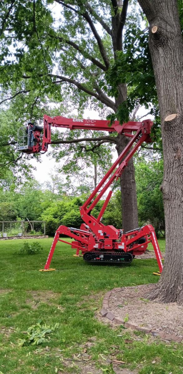 Tree Trimming for Lawn Ranger Yard And Tree Service LLC in Ottumwa, IA