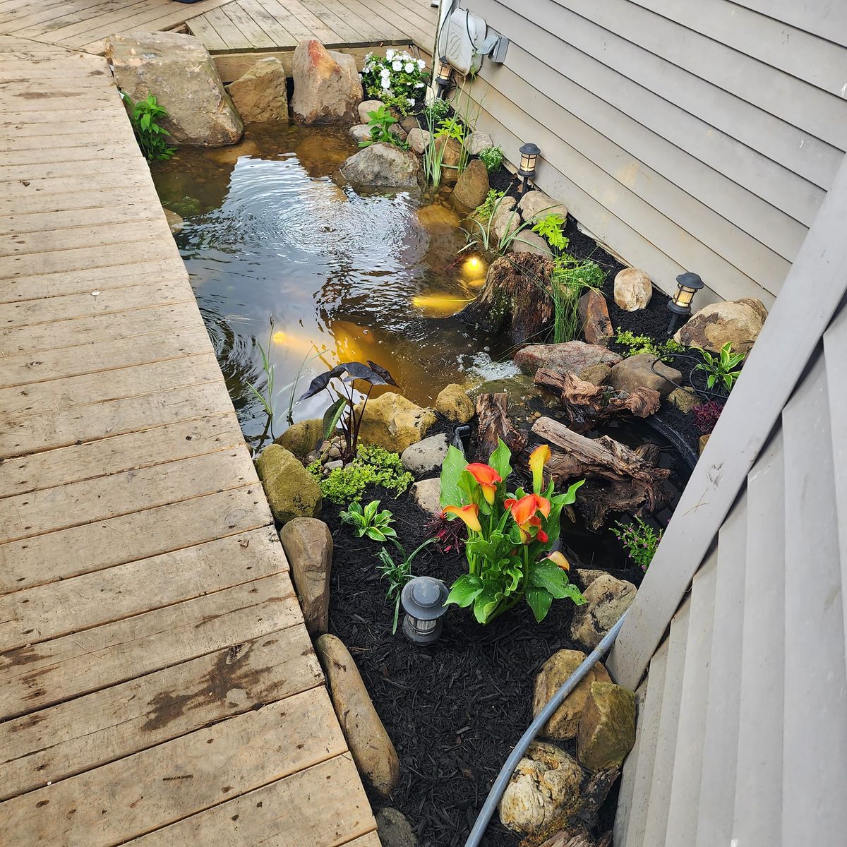 Water Features and Koi Fish for Freeland's Water Gardens in Clarksburg, WV