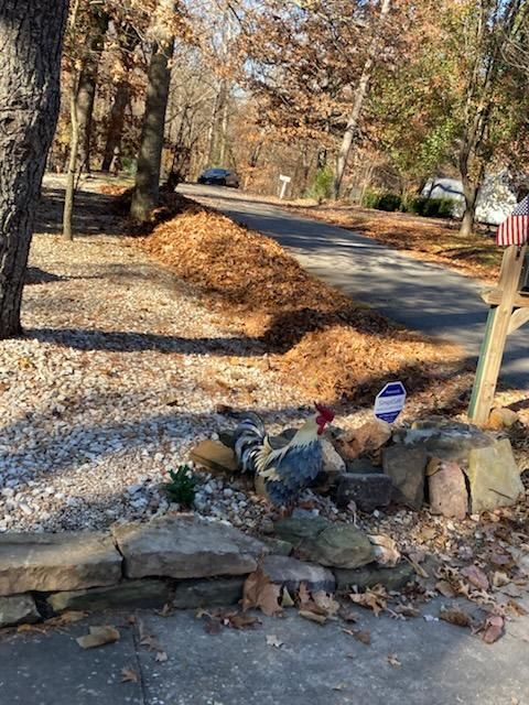 Flower Bed Maintenance for Pureleaf Lawncare LLC in Springdale, AR