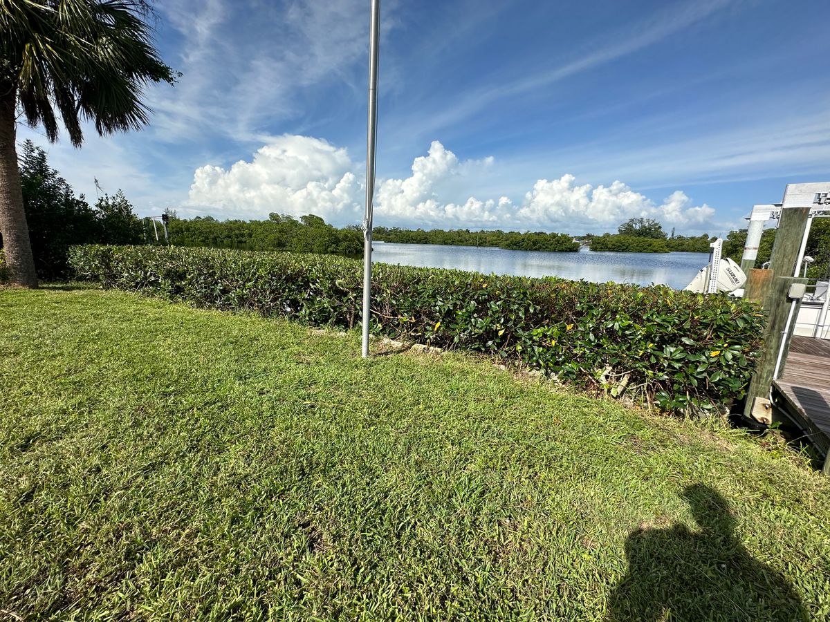 Mangrove Trimming for MX Trees LLC in Englewood, FL