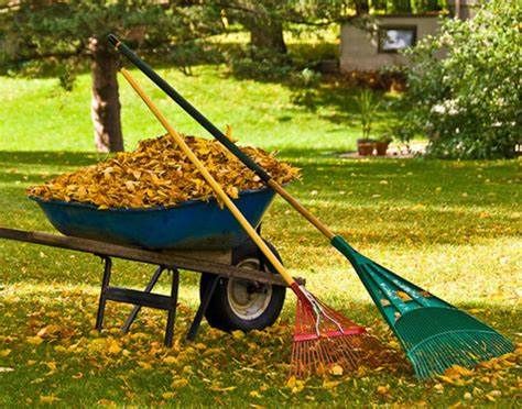 Fall and Spring Clean Up for Buckeye Lawns & Landscaping LLC in Millersburg, OH
