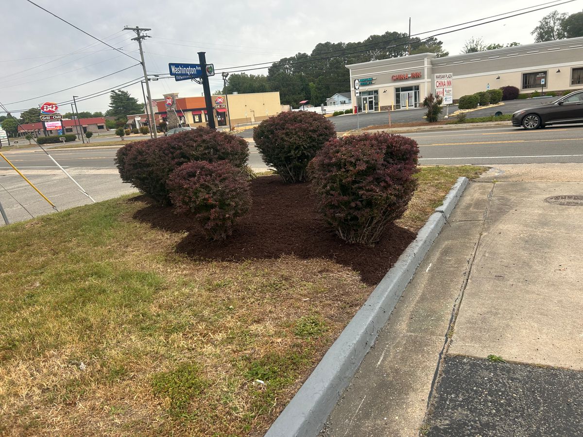 Shrub and Plant Trimming for The Whole 9 Yards Landscape VA in Heathsville, VA