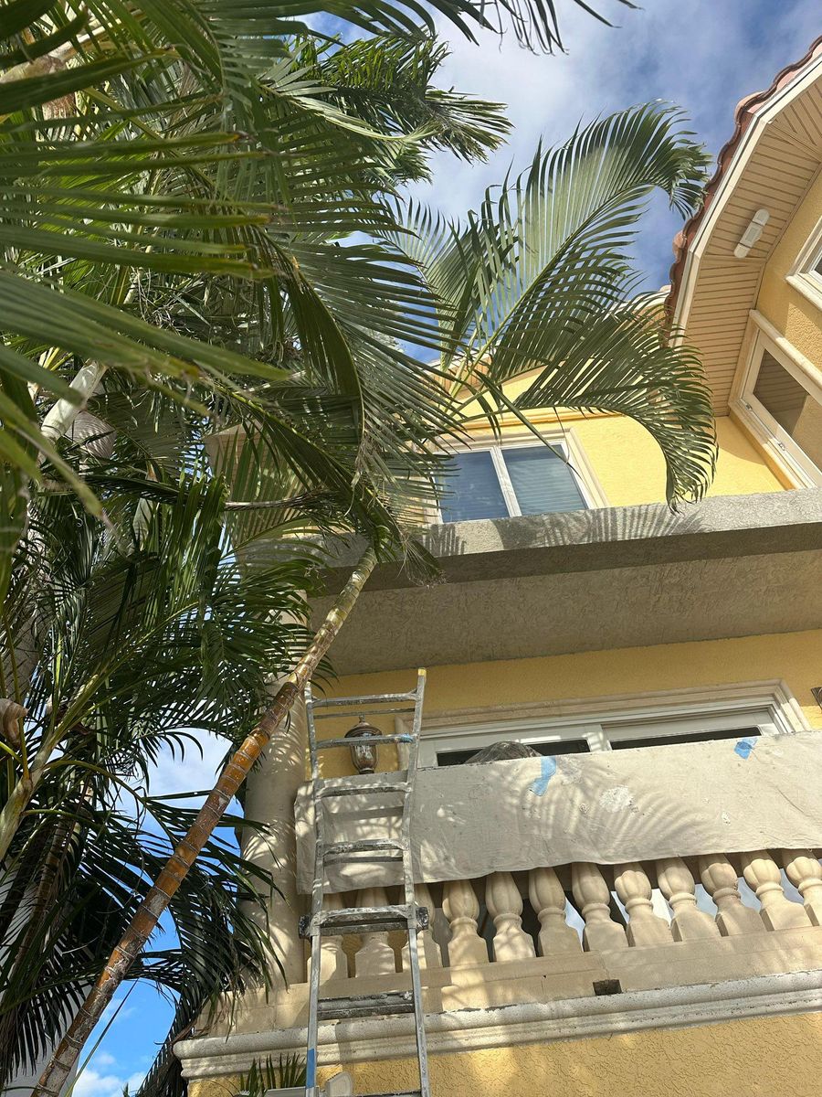 Exterior Painting for Escorpio Painting in Tampa, FL