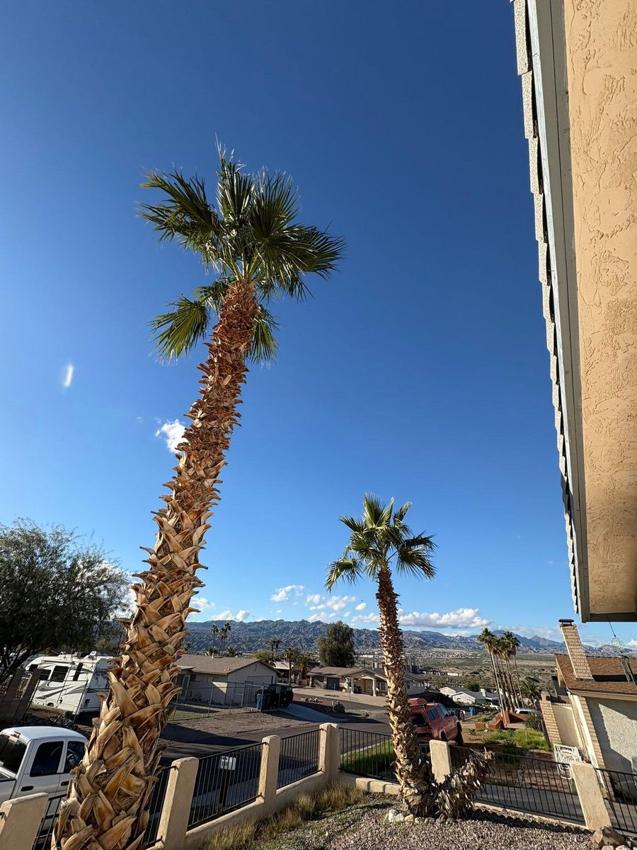 Landscape Design for Top Notch Landscape Services LLC in Mohave Valley, AZ