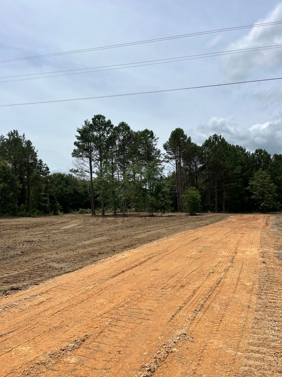 Land Clearing for Collins Constructors in Fyffe, AL