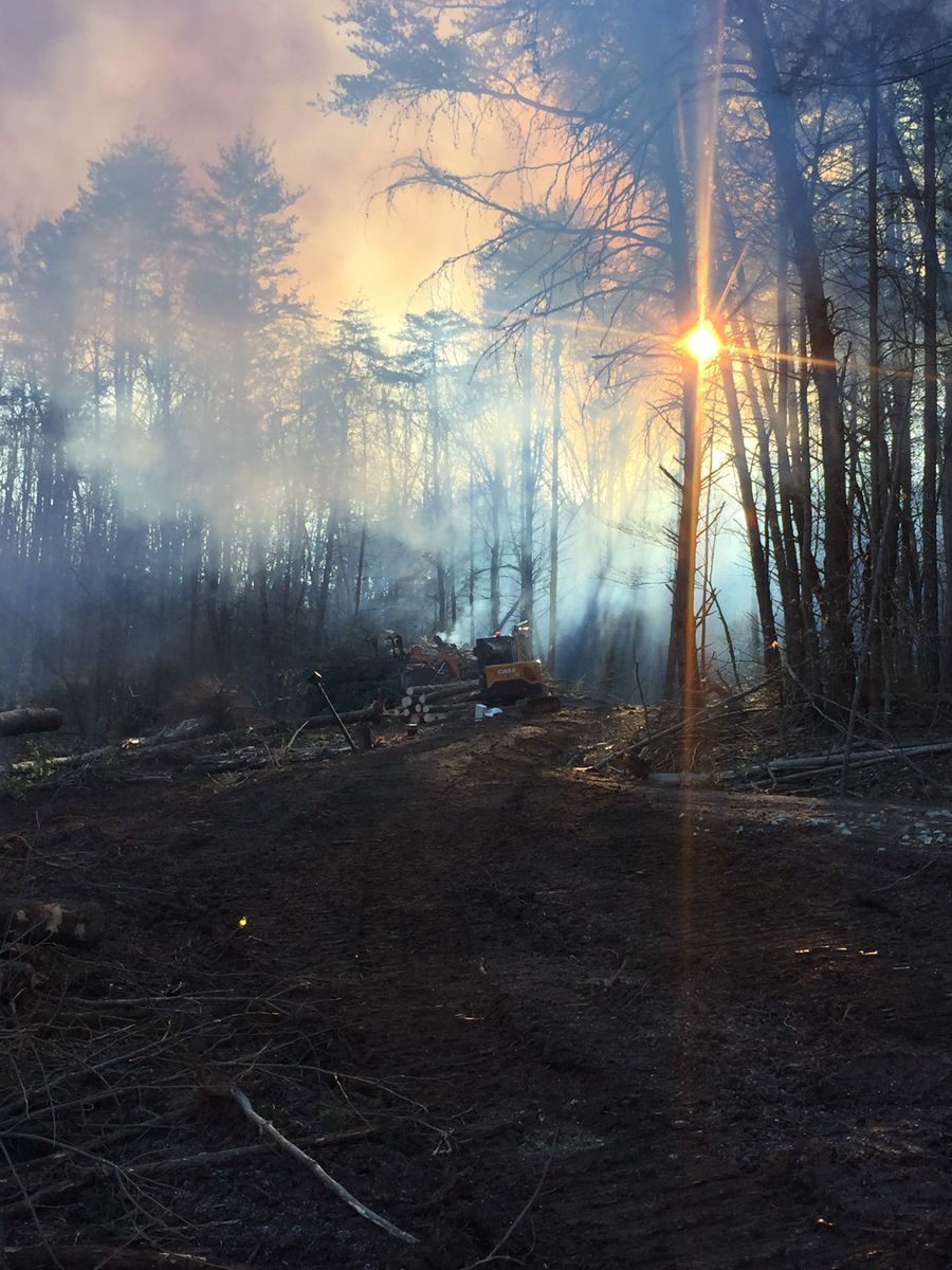 Land Clearing for Lanier Excavating LLC in Bedford County, VA