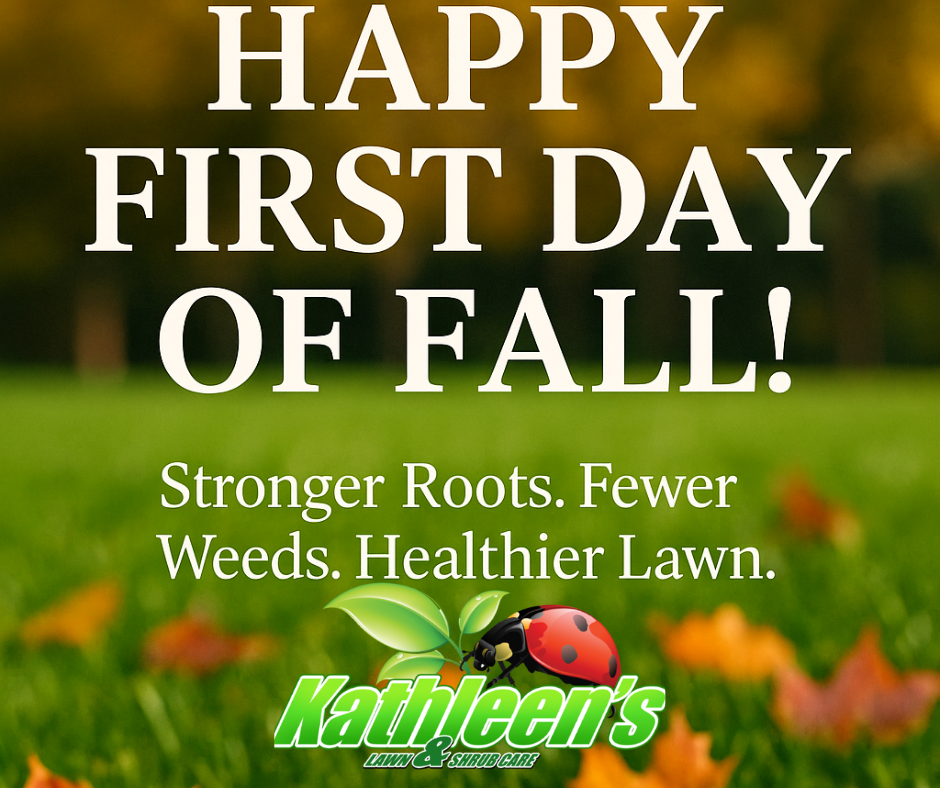 Vegetation Control for Kathleen's Lawn & Shrub Care in Augusta, GA