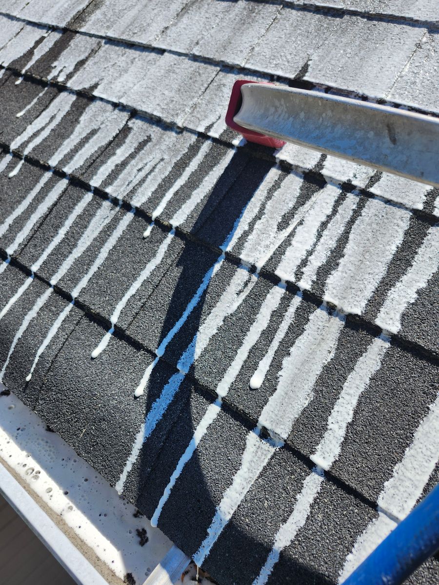 Home Softwash for All American Pressure Washing in Easley, SC