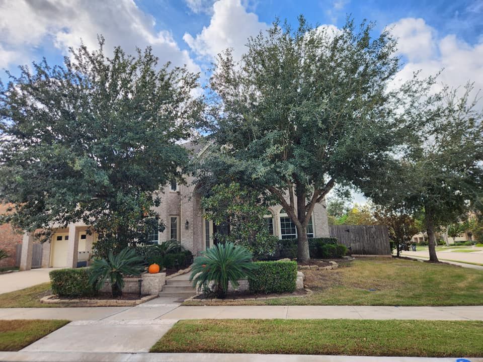 Shrub Trimming for Right Choice Landscaping LLC in Houston, TX