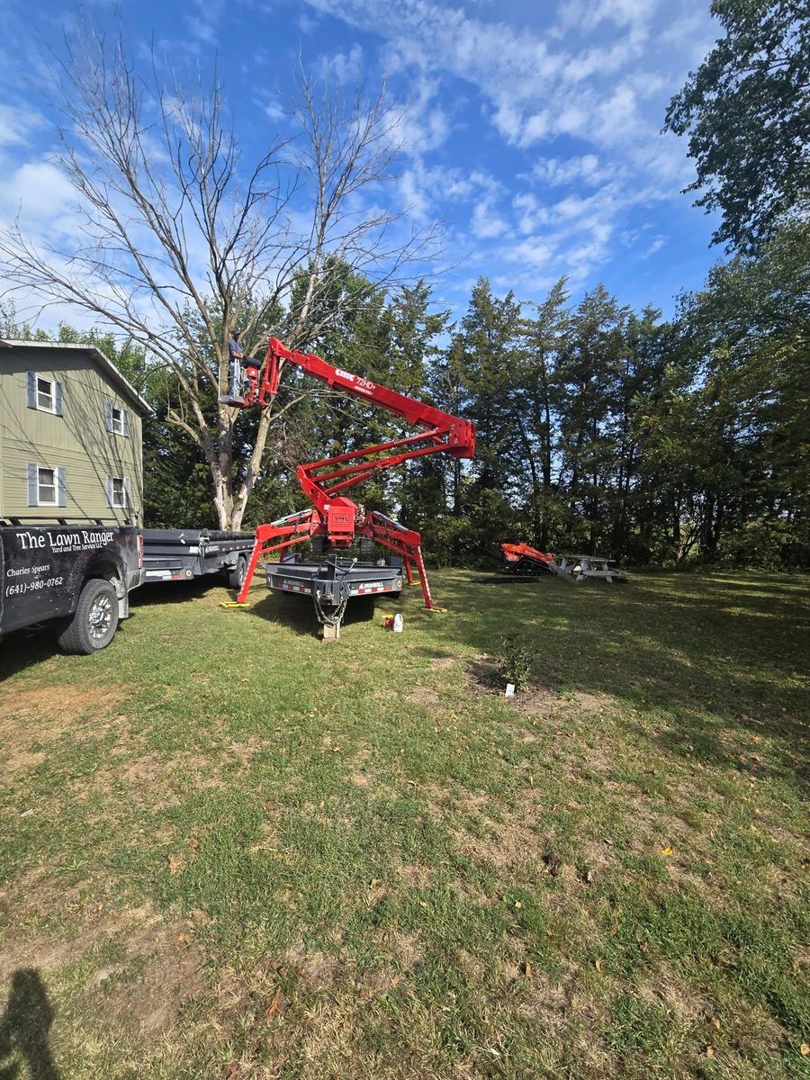 Tree Removal for Lawn Ranger Yard And Tree Service LLC in Ottumwa, IA