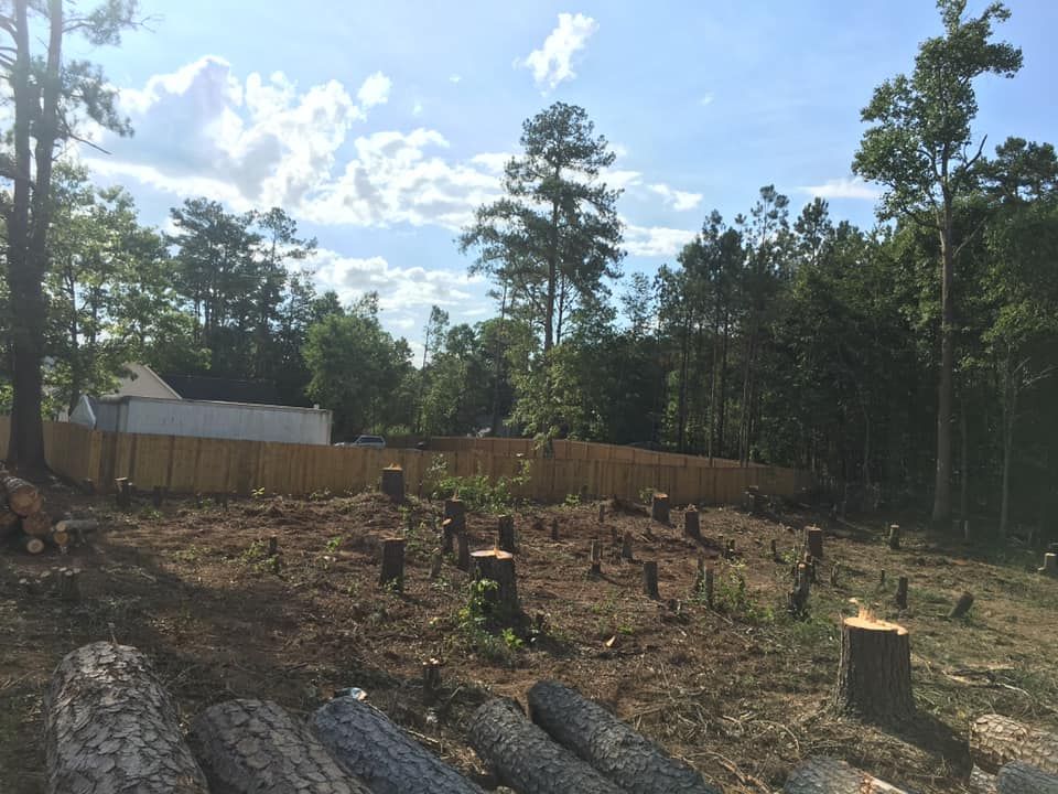 Forestry Mulching for Clear Tree Land Solutions in Dawson County, GA