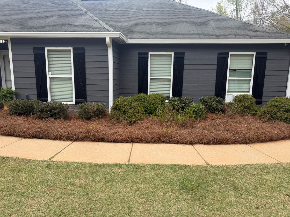 Pine Straw for Southern Outdoors Landscaping in Covington, GA