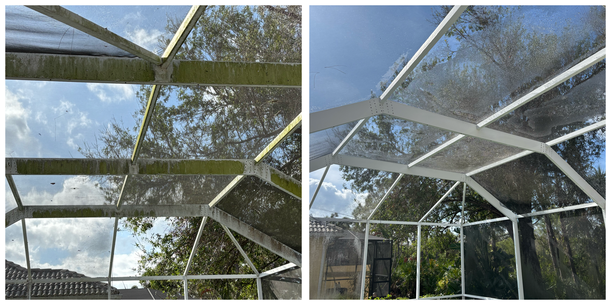 Sanitization Cleaning for My Softwash Guys in Venice, FL