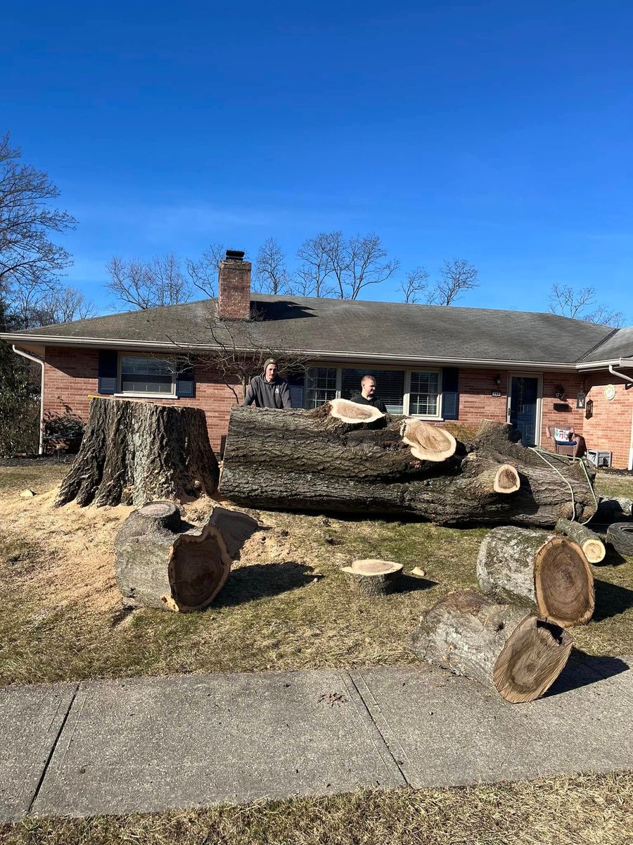 Stump Removal for Precision Tree Service, Inc. in Ryland Heights, KY
