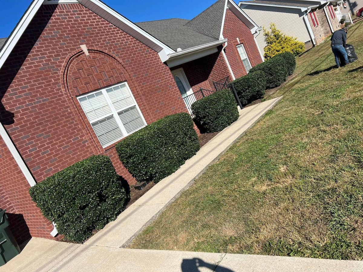 Shrub Trimming for Elrod’s Lawn Care and Landscape in Portland, TN