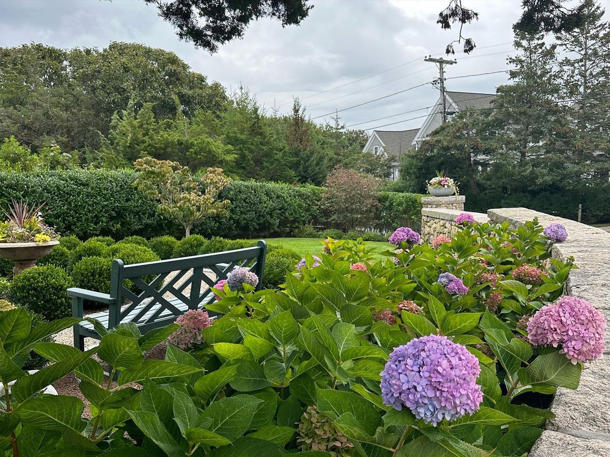 Tree & Shrub Care for RB Coastal Services in Sandwich, MA