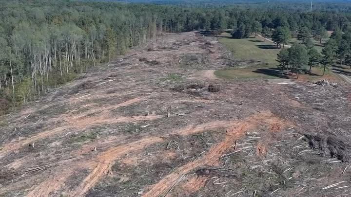 Land Clearing for Cedar Point Land Management in Richmond, VA