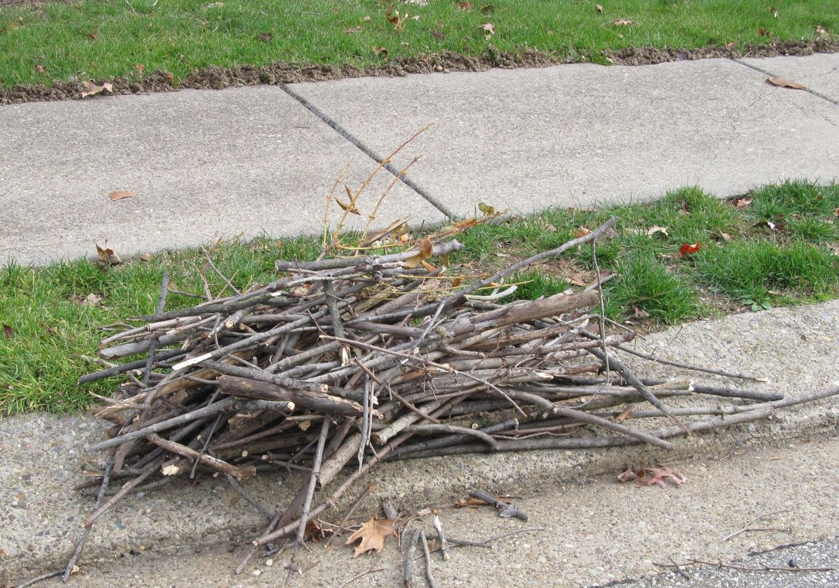 Brush Removal for Thrashers Utilities Services in Sultan, WA