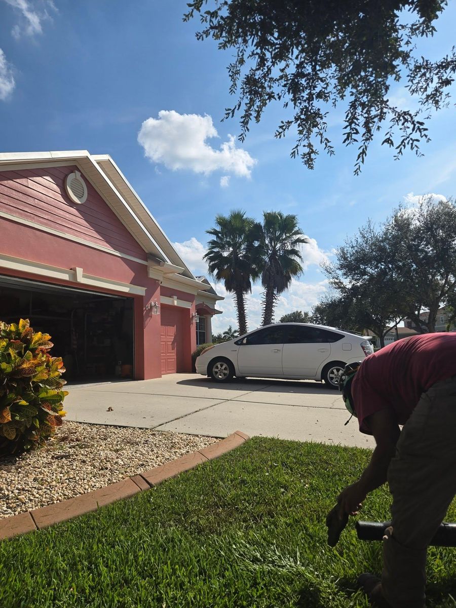 Tree Pruning for TREE BOYS in Ruskin, FL