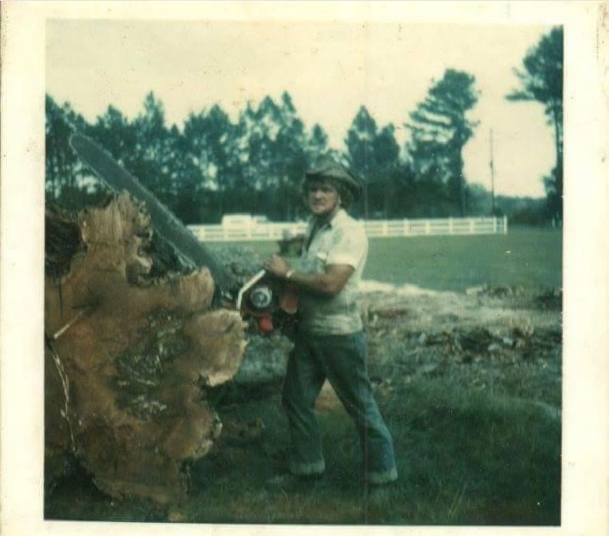 Tree Trimming for Elite Tree & Landscape Services LLC in St. Augustine, FL