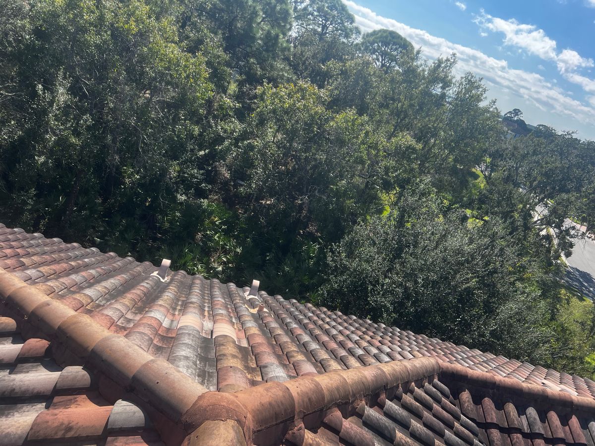 Roof Cleaning for Barr None Wash Pro in Tampa, FL