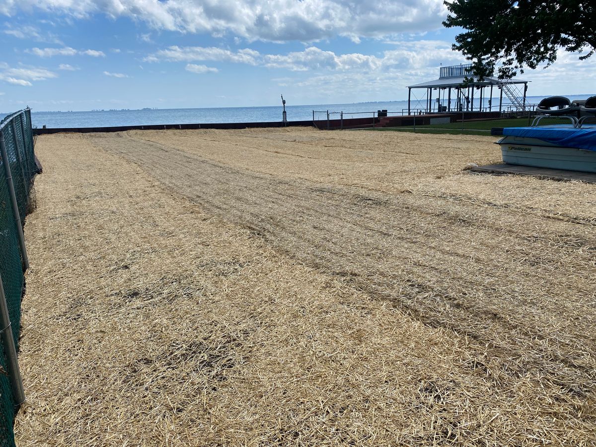 Seeding for Alltimate Outdoor Services in Warren, MI