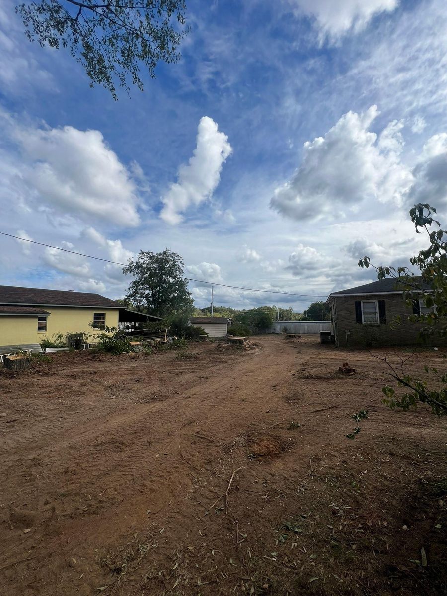 Fall Clean Up for Brooks Tree Service, LLC in Casar, NC