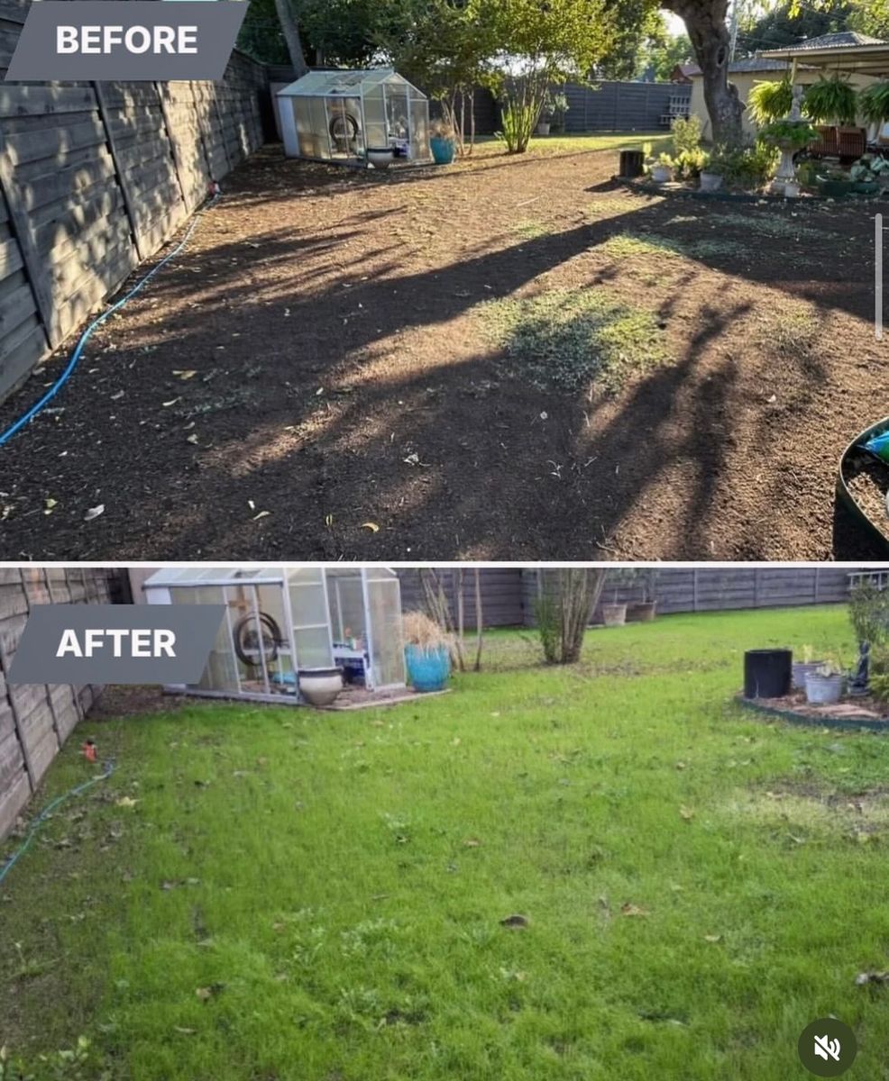 Winter green lawn package for North Texas Groundscaping in Frisco, TX