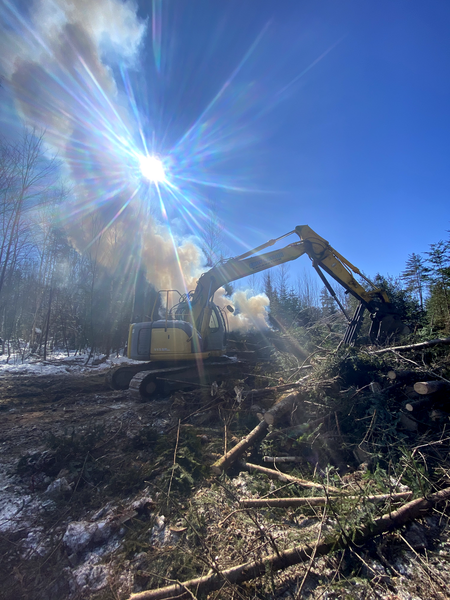 Dangerous Tree Removal for Andy Naylor Excavation in Stowe, VT