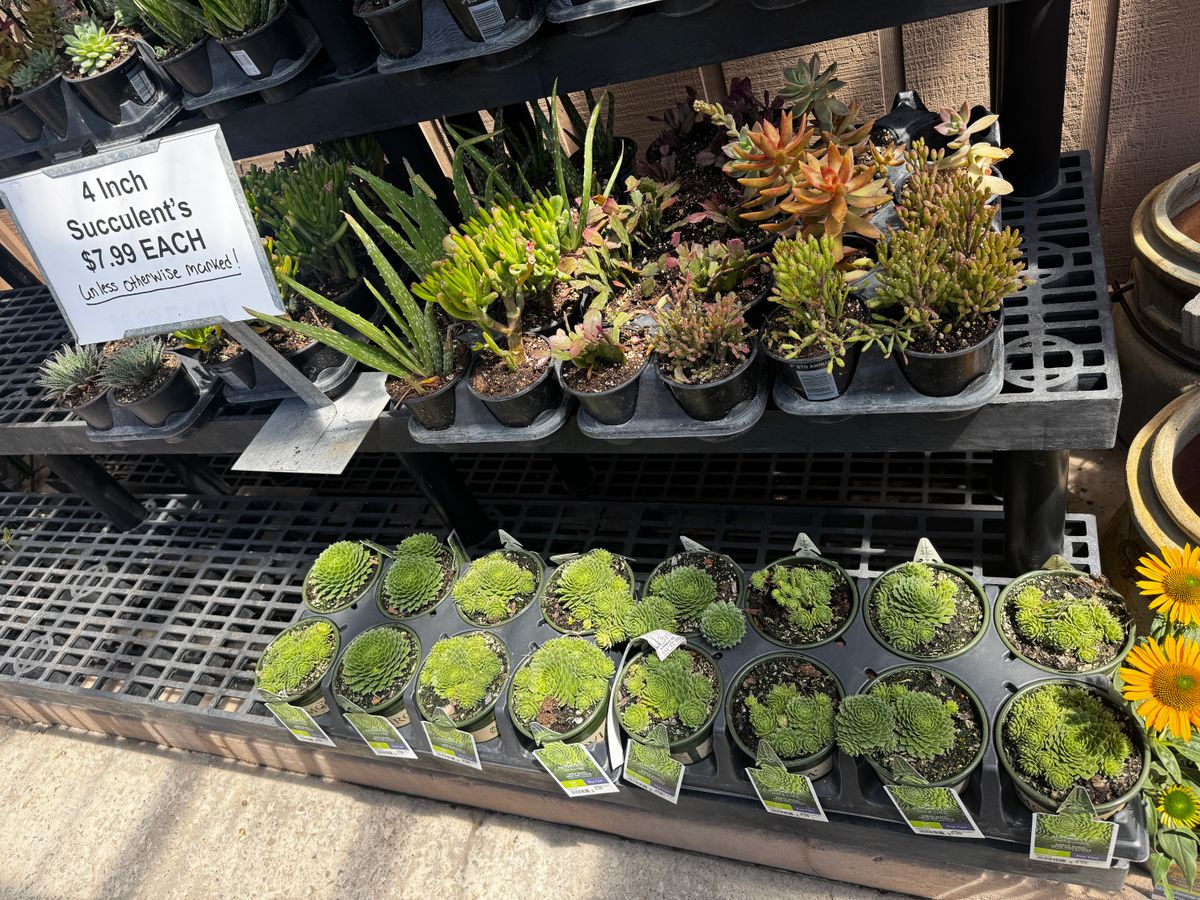 Gardening for Mayfield Landscaping in Staunton, IL