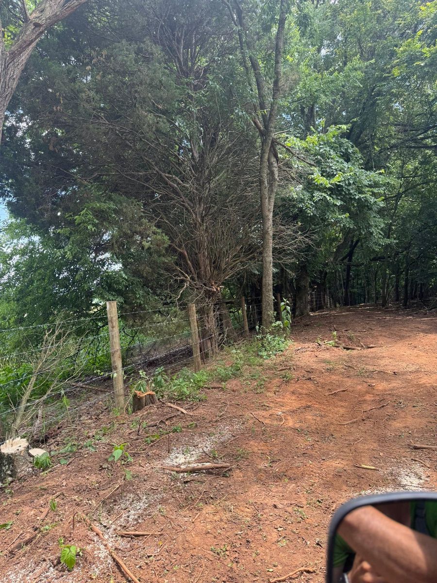 Land Clearing for Miller Farms Hay & Land Management in Knoxville, TN