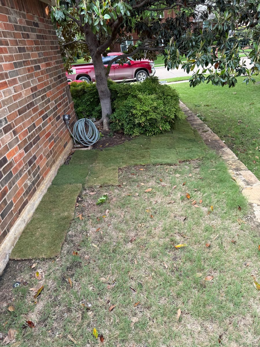 SOD Installation for Light It Up AV and Turf in Keller, TX