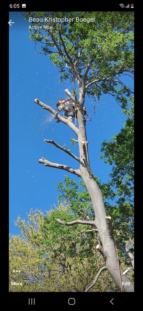 Tree Trimming for SMH Tree Service in Atwood, KS