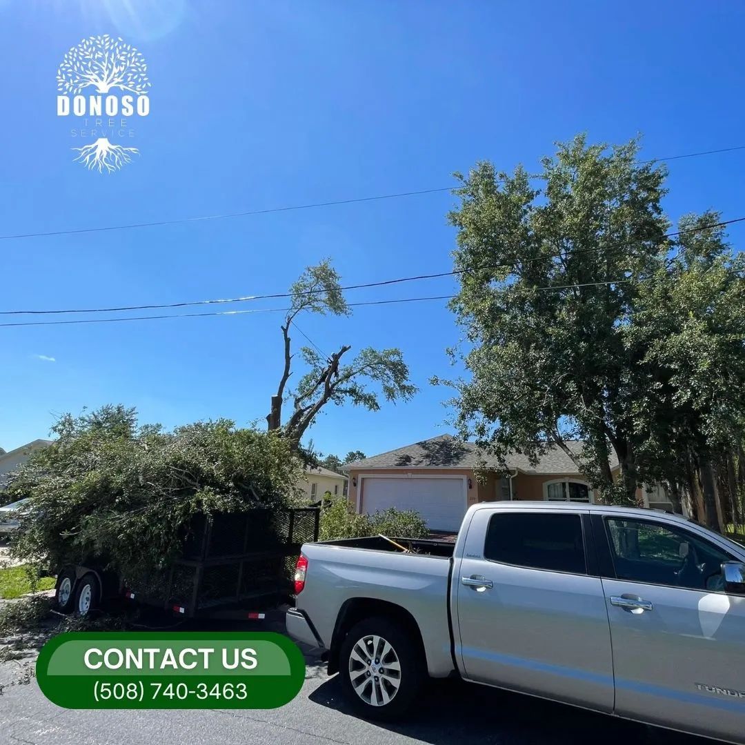 Fall Clean Up for The Family Tree Care Services LLC in Florida City, FL