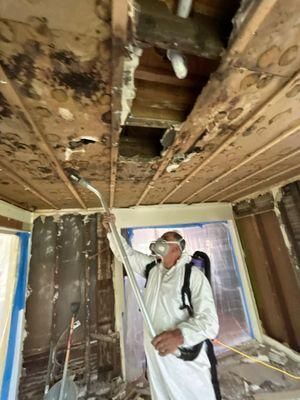 Mold Remediation for CertaClean Restoration in Yonkers, NY