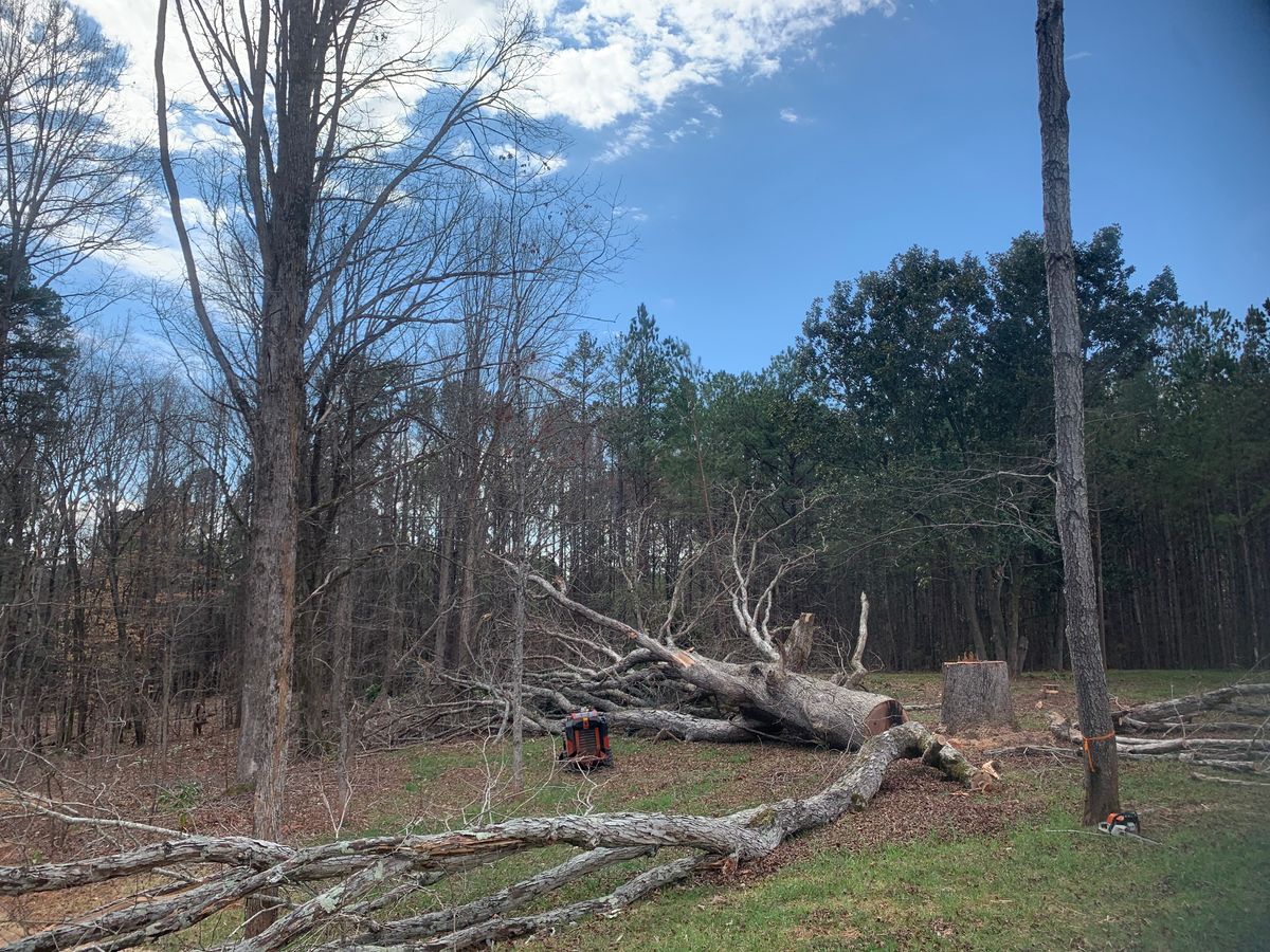 Grading and Excavation for Prosper Landscaping Construction in Concord, NC