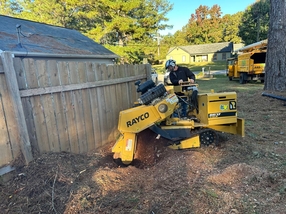 Tree Removal for ArborMax in Thomaston, GA