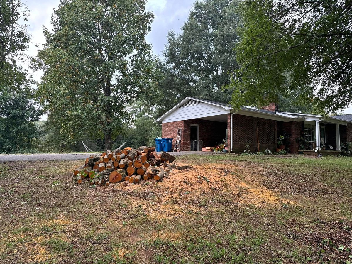 Tree Removal for Nature’s Own Tree Service in Hickory, NC