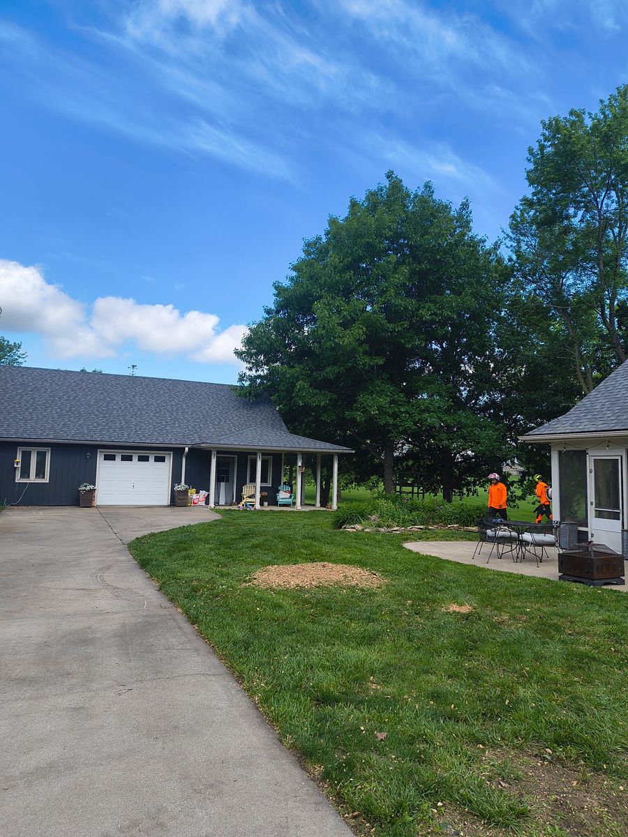 Stump Removal for Cross Family Tree Service in Kearney, MO