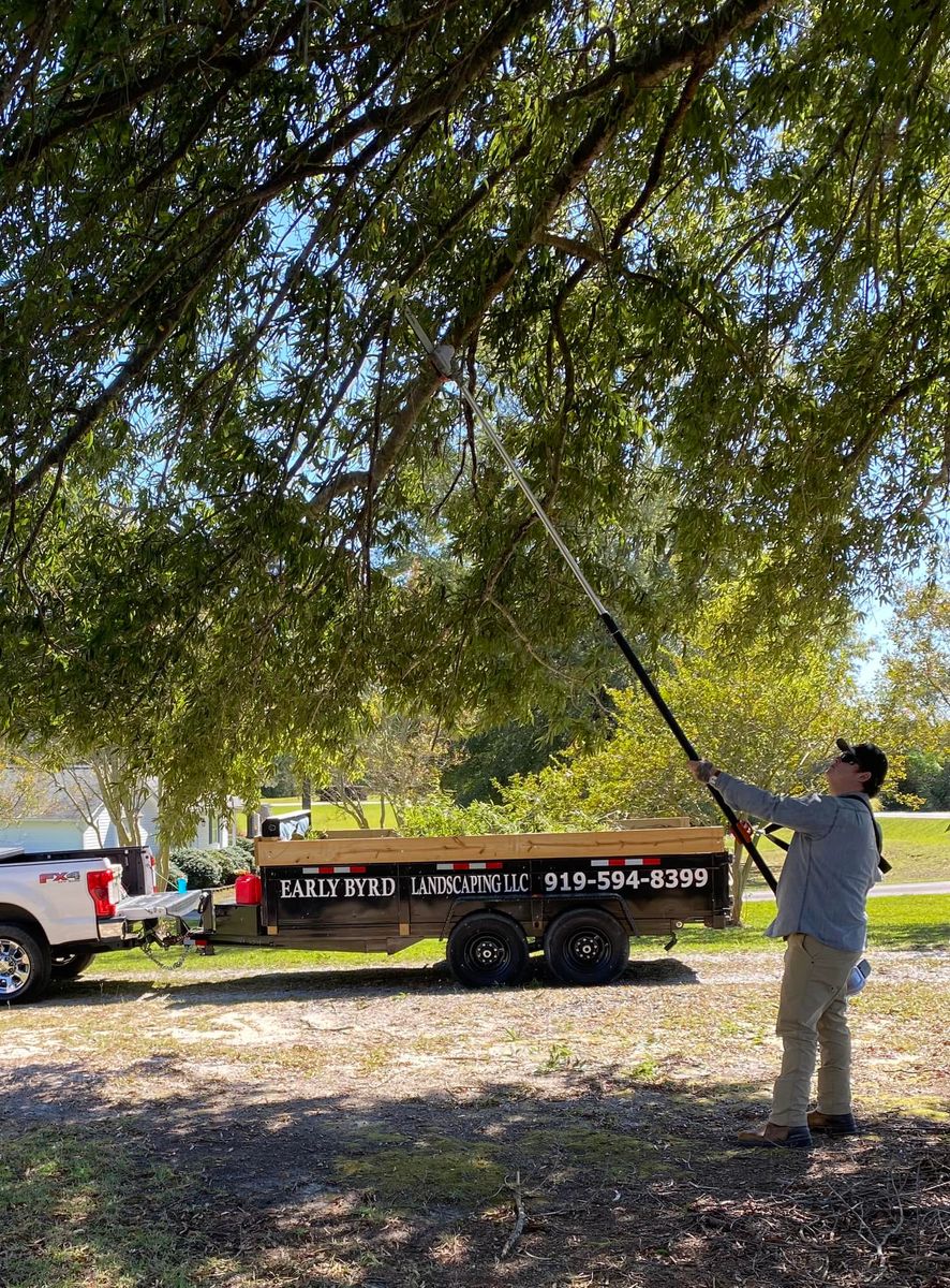 Fall and Spring Clean Up for Early Byrd Landscaping & Lawn Care  in Angier, NC