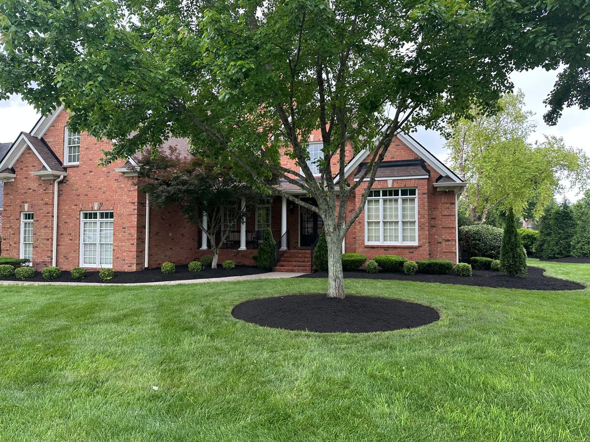 Tree Work for Top Notch Tennessee Outdoor Services in Murfreesboro, TN