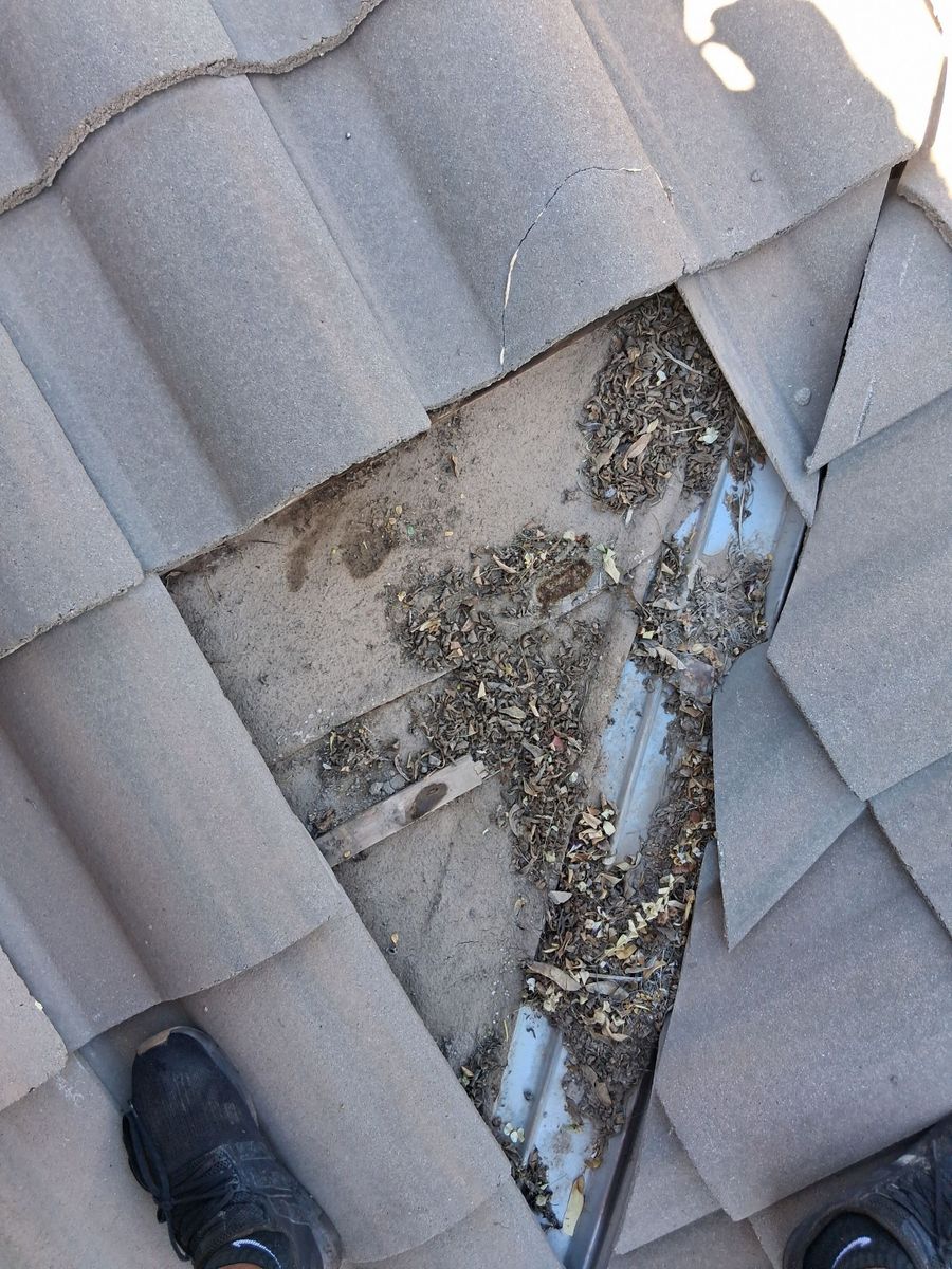 Roofing Repairs for Olson & Sons Contracting in Mesa, AZ
