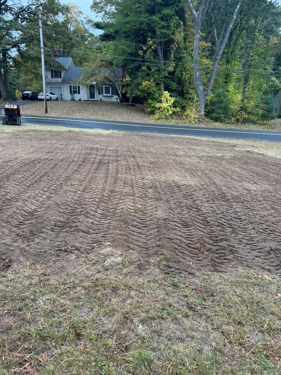 Stump Removal for Jills Stump Grinding and Firewood in Shelton, CT