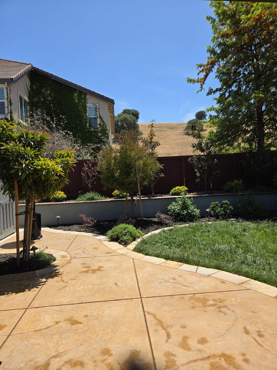 Backyard Transformation for LEBEC, Inc in Brentwood, CA